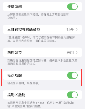 攸县苹果授权维修站分享iPhone轻点无法唤醒怎么办 