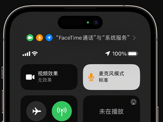 攸县苹果授权维修网点分享iPhone在通话时让你的声音更清晰 