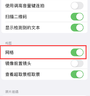 攸县苹果手机维修网点分享iPhone如何开启九宫格构图功能