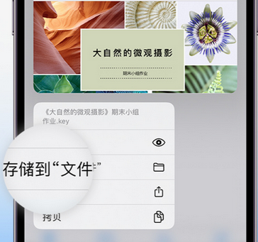 攸县apple维修中心分享iPhone文件应用中存储和找到下载文件