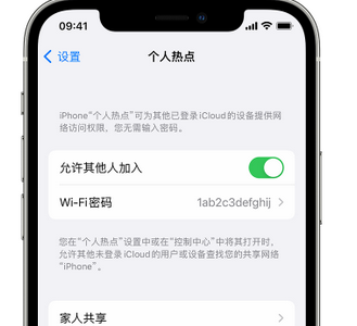 攸县apple服务站点分享iPhone上个人热点丢失了怎么办 