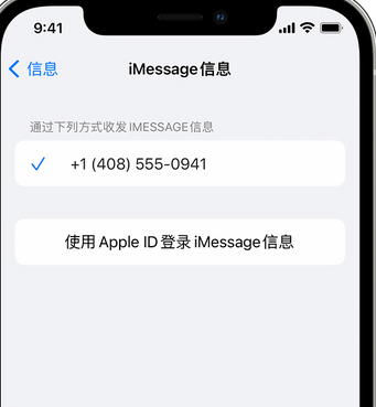 攸县apple维修iPhone上无法正常发送iMessage信息 