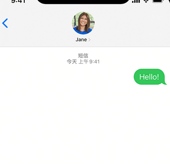 攸县apple维修iPhone上无法正常发送iMessage信息