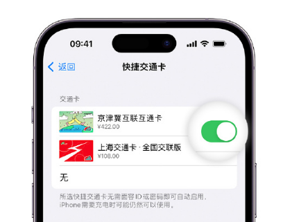 攸县apple维修点分享iPhone上更换Apple Pay快捷交通卡手绘卡面 