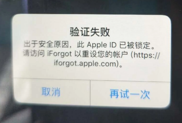 攸县iPhone维修分享iPhone上正常登录或使用AppleID怎么办 