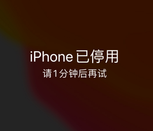 攸县苹果手机维修分享:iPhone 显示“不可用”或“已停用”怎么办？还能保留数据吗？ 