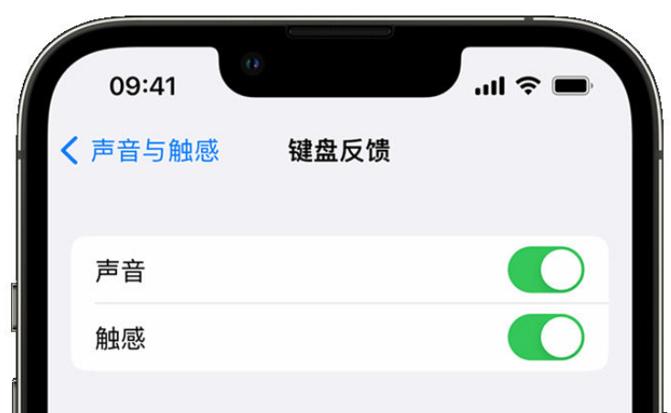 攸县苹果手机维修分享iPhone 14触感键盘使用方法 