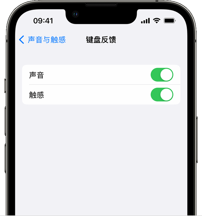 攸县苹果14维修店分享如何在 iPhone 14 机型中使用触感键盘 