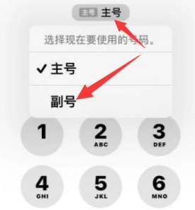 攸县苹果14维修店分享iPhone 14 Pro Max使用副卡打电话的方法 