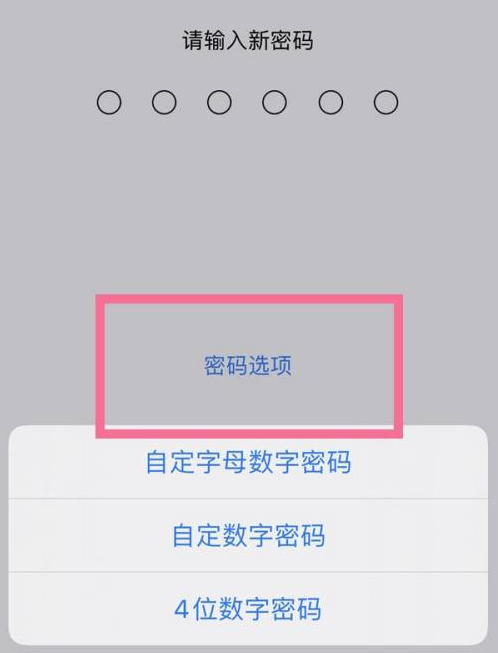 攸县苹果14维修分享iPhone 14plus设置密码的方法 