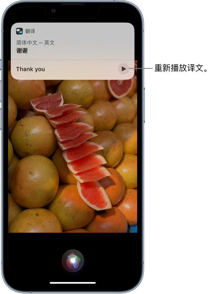 攸县苹果14维修分享 iPhone 14 机型中使用 Siri：了解 Siri 能帮你做什么 