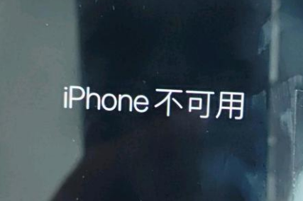 攸县苹果服务网点分享锁屏界面显示“iPhone 不可用”如何解决 