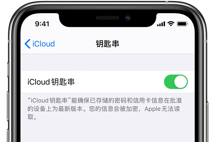 攸县苹果手机维修分享在 iPhone 上开启 iCloud 钥匙串之后会储存哪些信息 