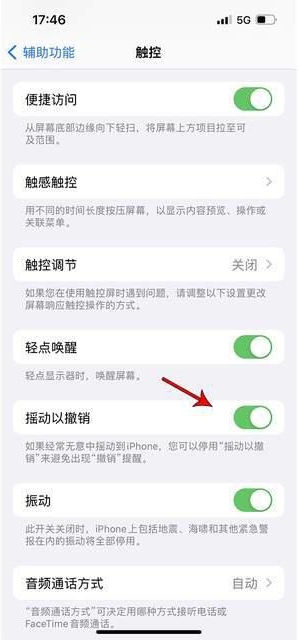 攸县苹果手机维修分享iPhone手机如何设置摇一摇删除文字 