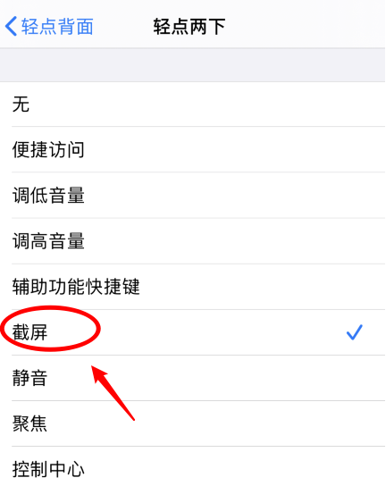 攸县苹果手机维修分享iPhone12如何启用双击截屏 