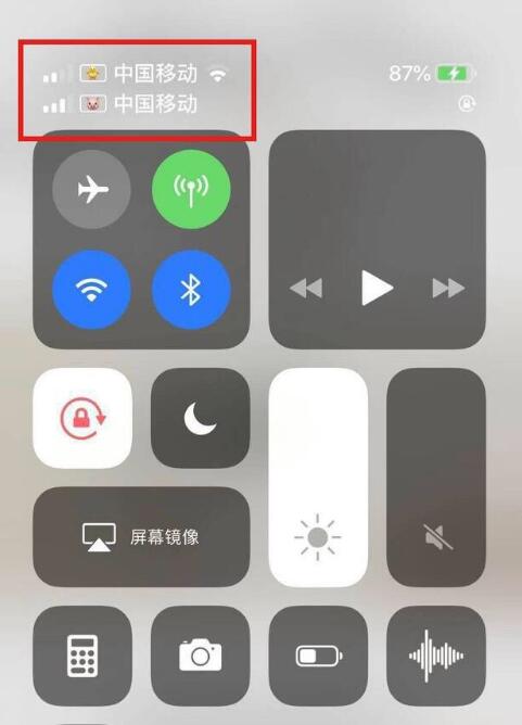 攸县苹果手机维修分享为 iPhone 12 双卡设置标签 