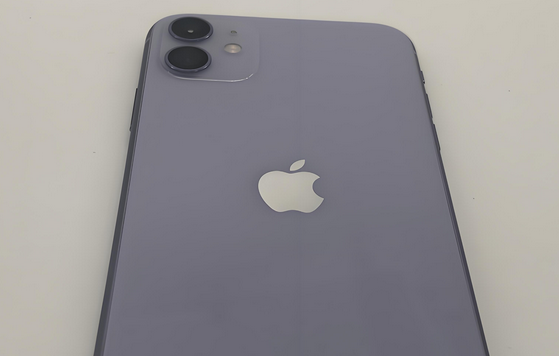 攸县苹果11系统维修分享iPhone11手机系统崩溃无法开机如何解决 