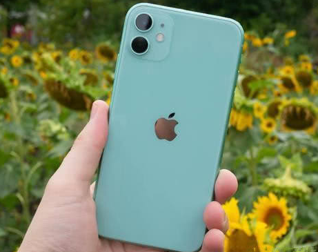 攸县苹果维修点分享iPhone 11锁屏密码认知与使用科普 