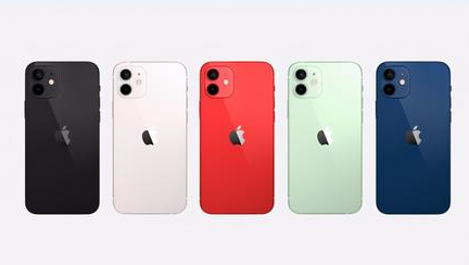 攸县苹果维修点分享iPhone 12锁屏密码系统机制科普 