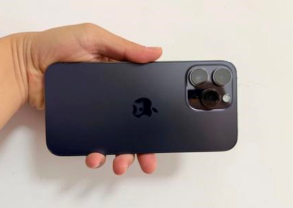 攸县苹果维修点分享iPhone 14 Pro Max黑屏少见故障盘点 