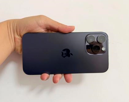 攸县苹果维修点分享iPhone 14 Pro Max发烫多重诱因剖析 